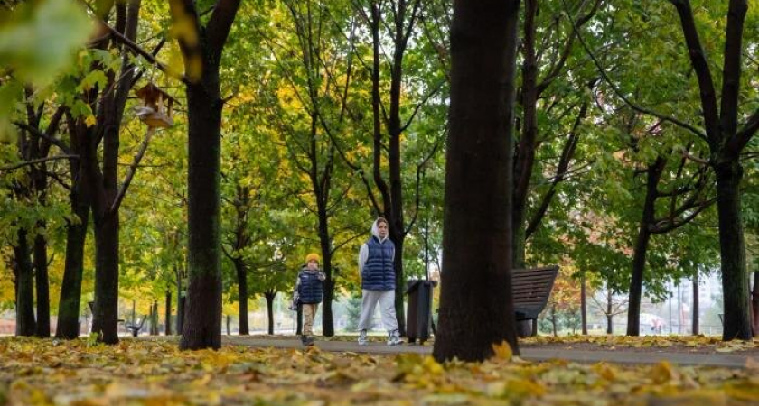 Плюс 10 в ноябре: Москву накроет аномальное тепло с превышением нормы на 5 градусов