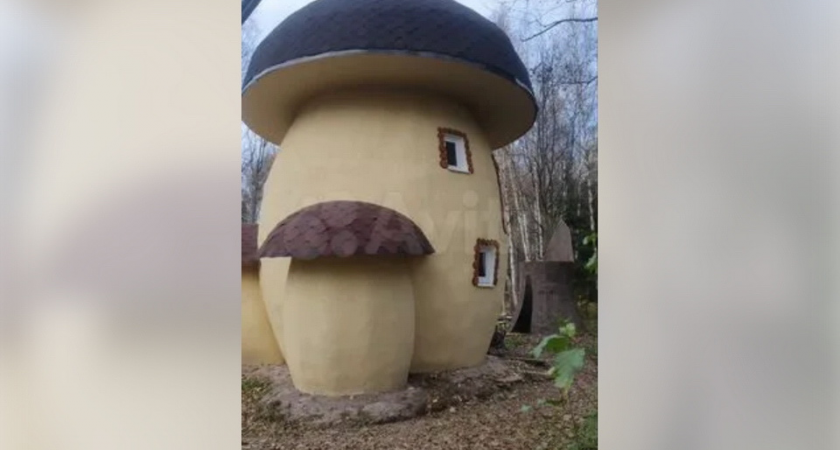 Трехэтажный гриб-боровик с баней и беседкой продают за 20,5 млн в 26 км от МКАД