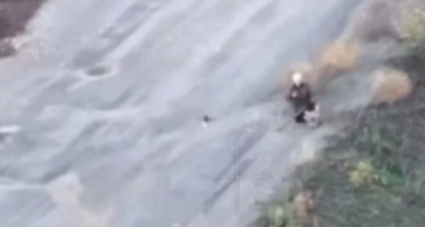 Стояла на коленях и молилась: оператор дрона ВСУ прицельно убил пожилую женщину в Купянске