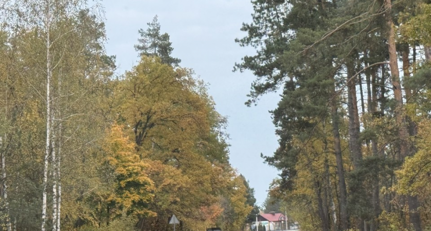 Девять часов тревоги: ПВО сбила беспилотник над Воронежской областью после ночной атаки