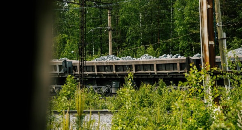 Четыре вагона сошли с рельсов на станции Янега: 17 грузовых составов застряли в пути