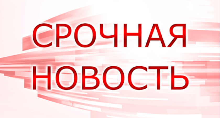 Падение пассажира на «Озерках» парализовало половину синей ветки метро Петербурга