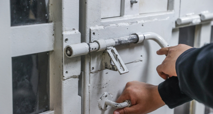 Москвич похитил 20+ собак за 5 лет для корейских ресторанов