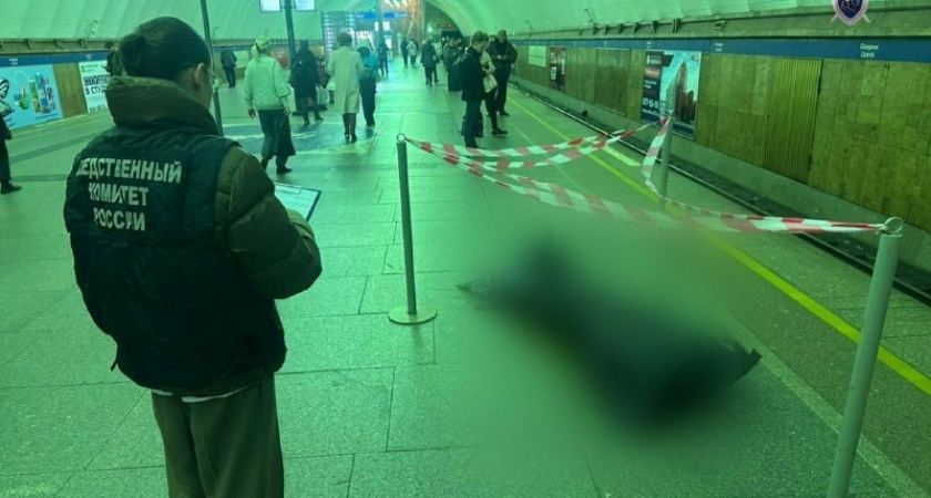 Мужчина упал на пути в метро «Озерки»: СК начал проверку