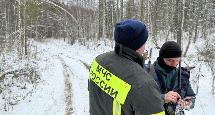 300 тысяч в бардачке: что нашли в машине пропавшей семьи Усольцевых