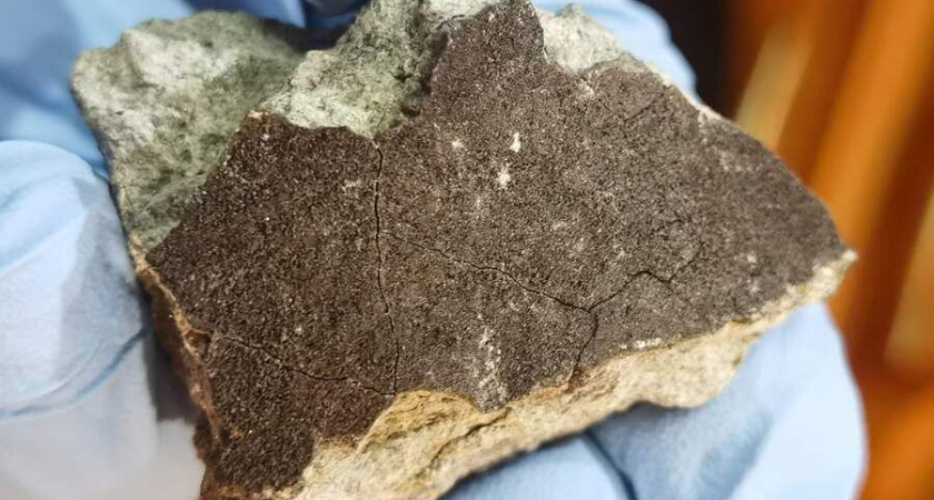 Каменный хондрит с металлом: фрагменты метеорита продают в Сети, но медики предупреждают об опасности