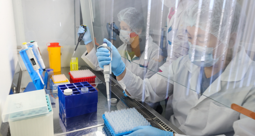 «Вектор» нашел 60 неизвестных вирусов в образцах из 50 регионов России