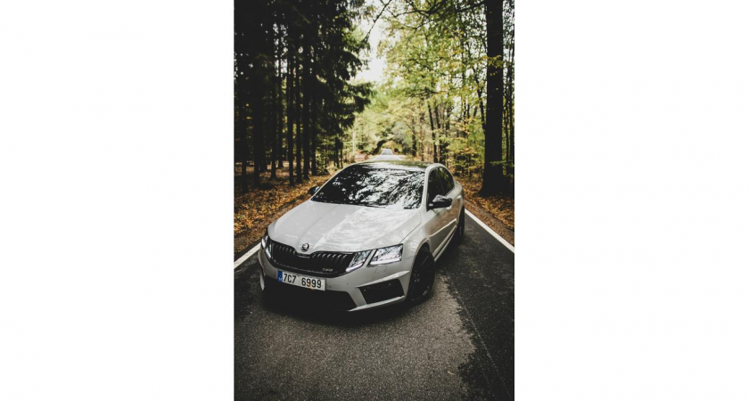 Москвич перевел 1,8 млн за Skoda из Европы через Telegram — получил байки про таможню вместо машины