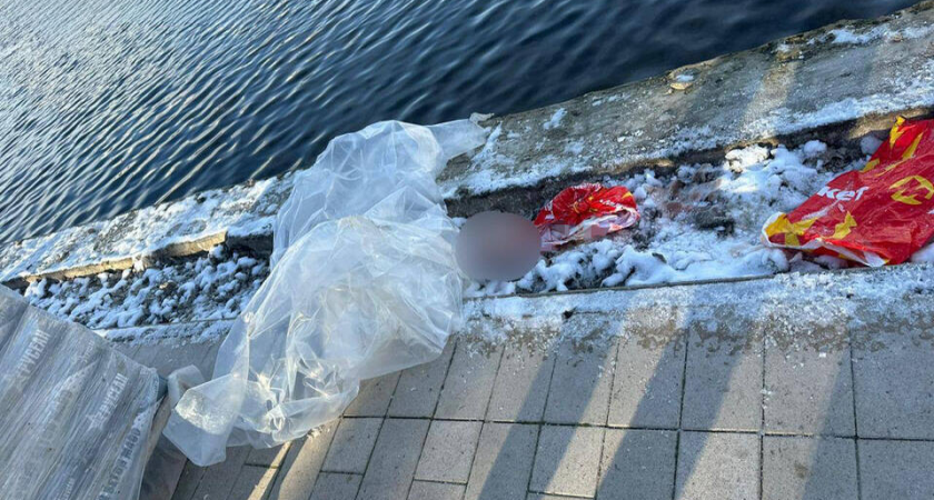 Останки человека в пакете всплыли в Гольяновском пруду на востоке Москвы