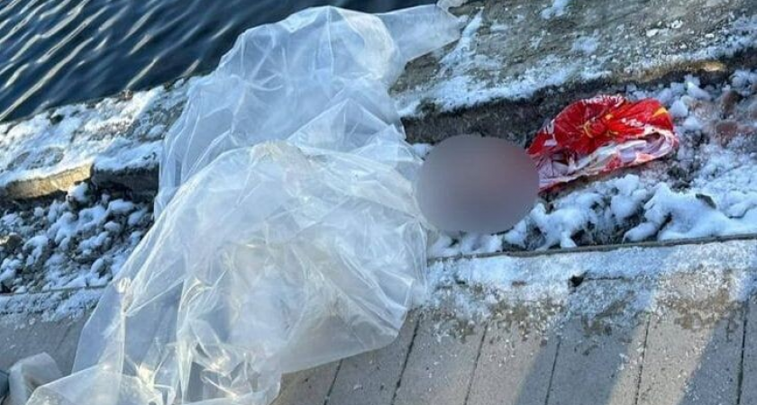 На шее найденного в пруду мальчика обнаружили следы удушения — ребенок мертв более двух суток