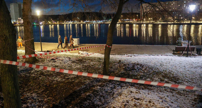 Мать помогла сожителю расчленить сына и спрятать голову в пруду: долги в 60 тысяч рублей