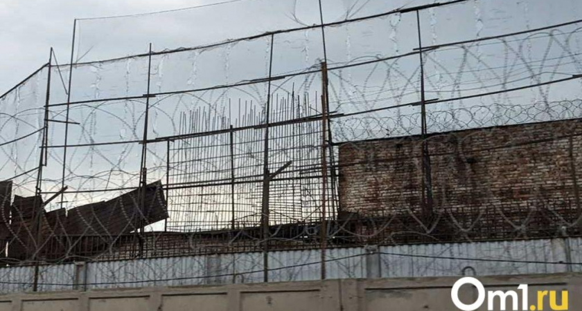 Попросил вызвать такси — получил 20 укусов собаки: узбекистанец жестоко расправился с гостем на даче