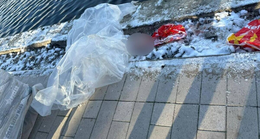 В рюкзаке из пруда в Гольяново нашли тело ребенка 7-10 лет — смерть наступила 2 дня назад