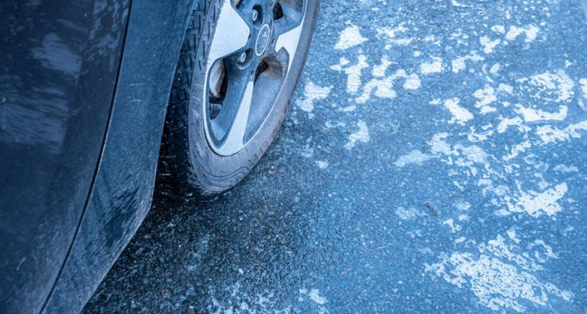 Дистанция в три раза больше и никаких виражей: эксперт назвал правила выживания на льду