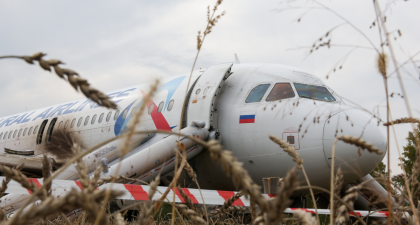 Дело пилота Сергея Белова, экстренно посадившего самолет в поле под Новосибирском, вернули прокурору