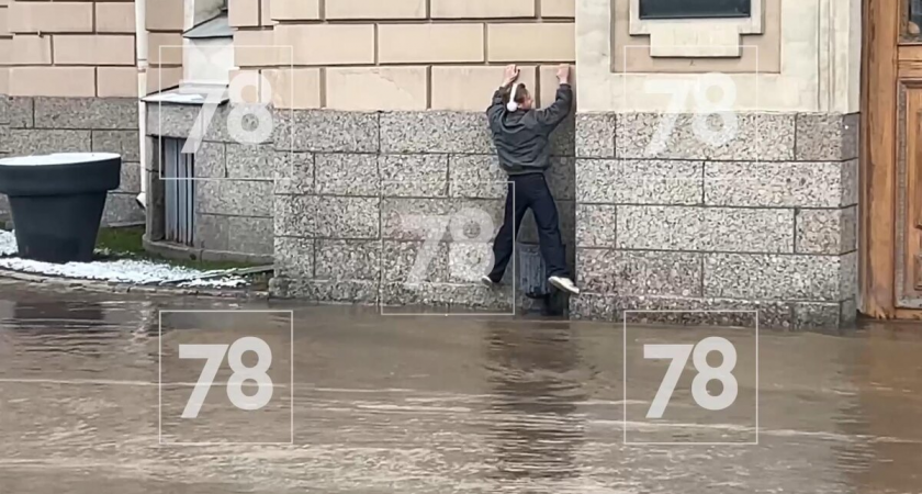 Бассейн у Академии художеств: студенты карабкаются по стене, чтобы попасть на занятия