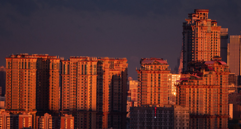 Щукино на карантине до января 2026: бешенство у домашнего питомца парализовало район