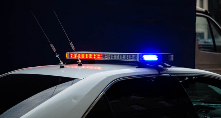 «Богородский маньяк» обещал 100 тысяч за поиск жены Полины — теперь подозревается в её убийстве