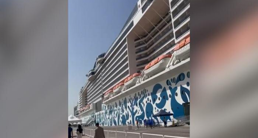 270 тысяч за сегрегацию: россиян на круизе MSC Euribia отправили в отдельный ресторан