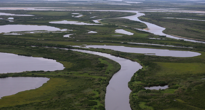 Воду из Печоры и Северной Двины перебросят в Донбасс: РАН готовит решение по трубопроводу на 5-7 лет