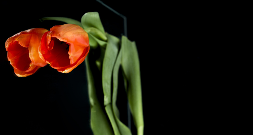 Умер основатель DZIDZIO Олег Турко: год назад пережил клиническую смерть на сцене