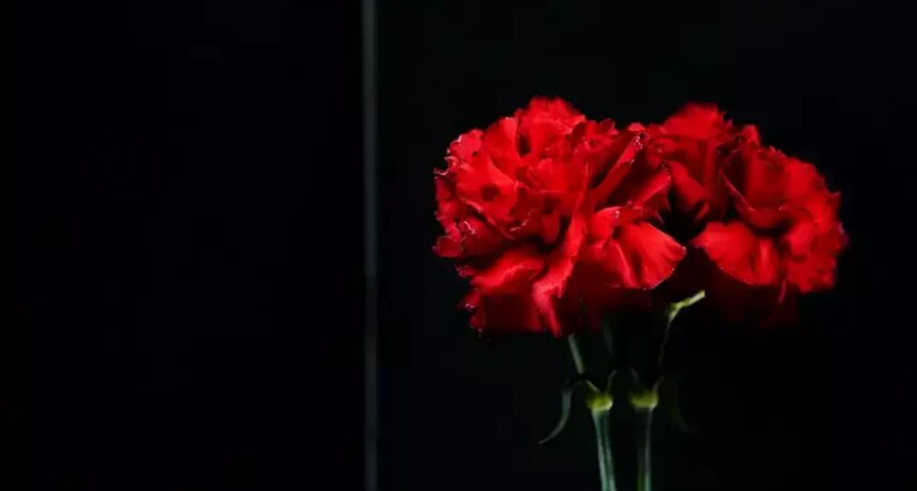 Ушла из жизни 96-летняя звезда Малого театра Лилия Юдина: 50 ролей за 71 год на сцене