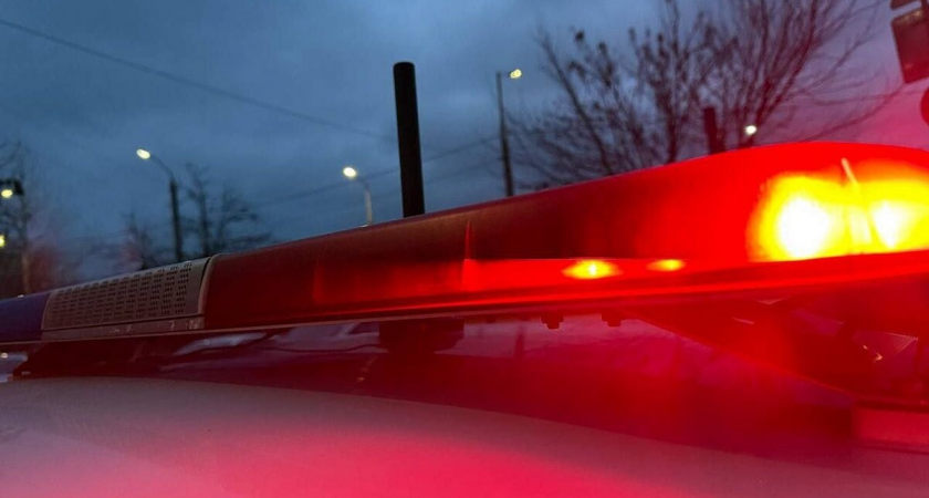 Винтовка, обрез и 79 патронов: житель Чумикана спрятал найденное в лесу оружие в домашний сейф