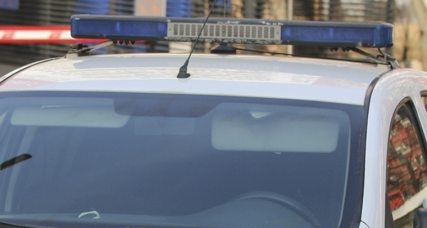 Майнинг-ферма в подвале и дети без документов: итоги рейда в цыганском поселке Ленобласти