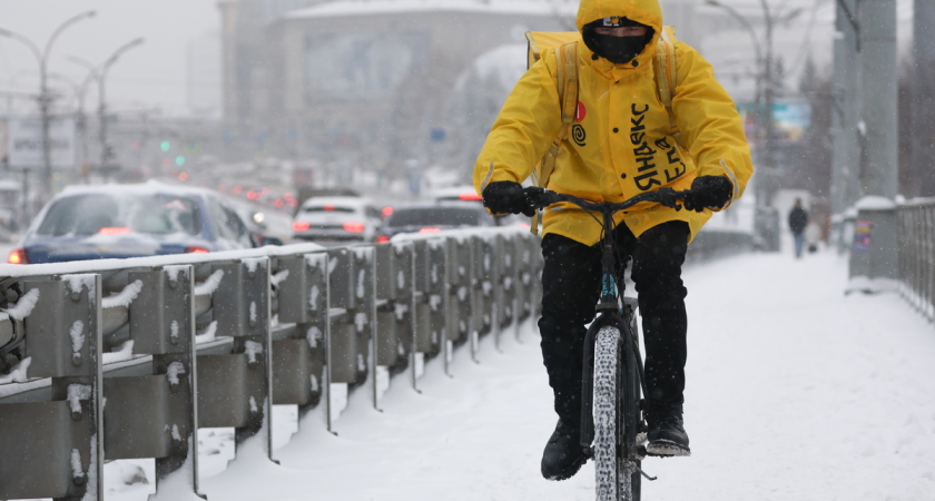 Федяев против прав для курьеров: сервисы доставки сами будут следить за скоростью электровелосипедов