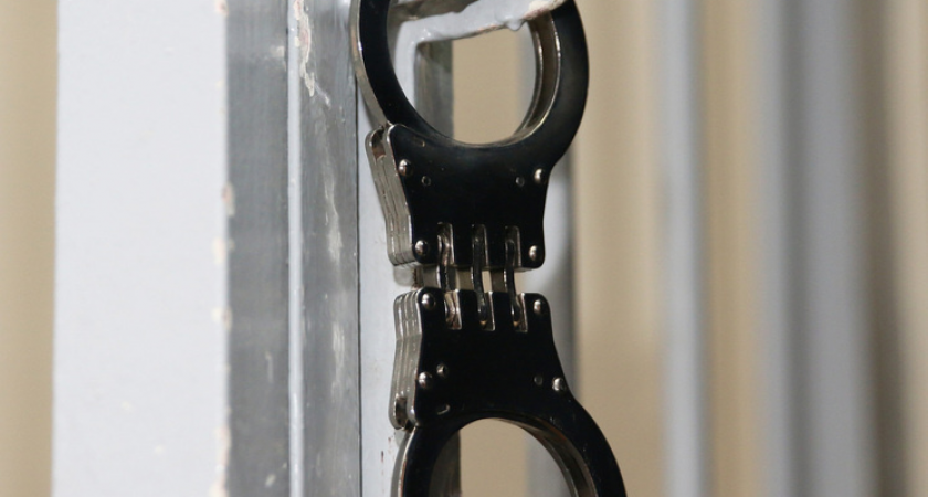 24 подростка в «лечебнице» Дедовска: 16-летний в реанимации после пыток 18-летней сотрудницей