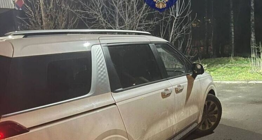 Мать на KIA насмерть задавила двухлетнюю дочь при выезде с парковки в Правдинском