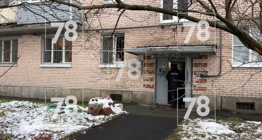 Бастрыкин взял на контроль дело о матери, которую подозревают в убийстве 13-летняя дочь