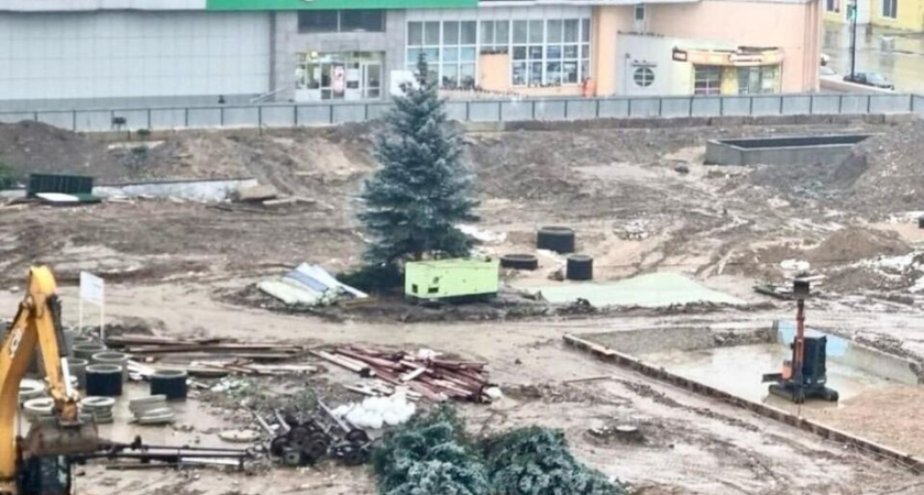 Одинокая ель среди бульдозеров: жители Наро-Фоминска испугались за судьбу дерева на стройке