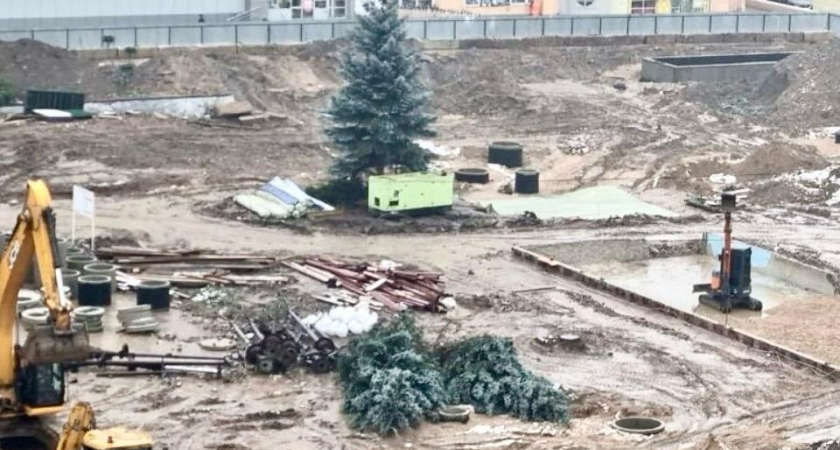 Одинокая ель среди строительного мусора: почему в Наро-Фоминске вырубили всё, кроме одного дерева