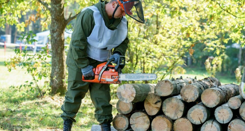 «Есть заказ — завалить дерево»: лесничие Орехово-Зуева сняли пародию на «Бригаду» про санитарную рубку