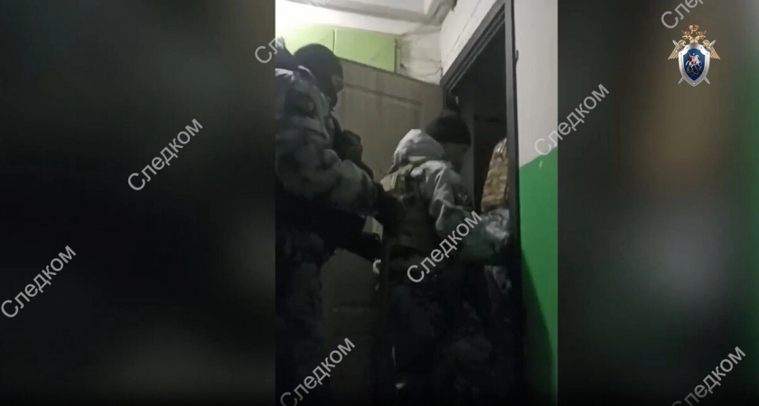 Фиктивные браки и доверенности: банда из 8 человек обирала пьяниц, отправленных на СВО