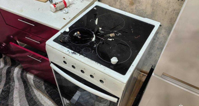 Собака включила сенсорную плиту: взрыв дихлофоса выбил все двери в квартире