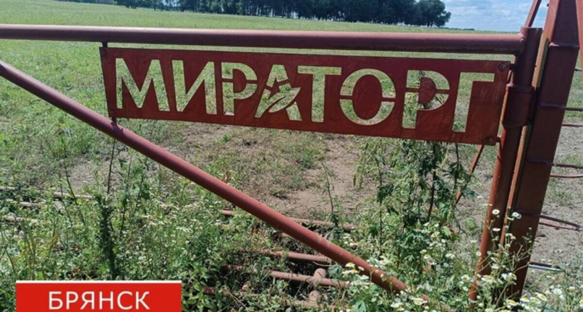 Дроны-камикадзе ВСУ атаковали «Мираторг»: водитель с осколочными ранениями в больнице