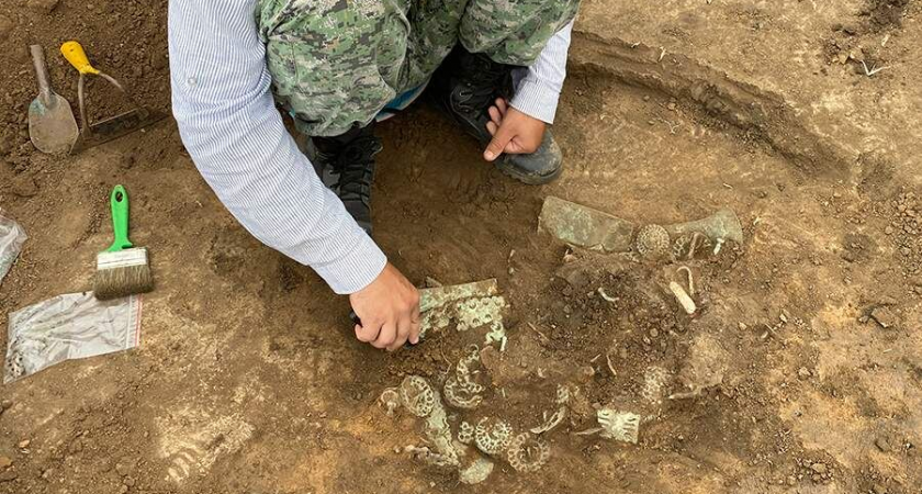 Золотая маска тигра: под Оренбургом найден элитный могильник IV века до н.э