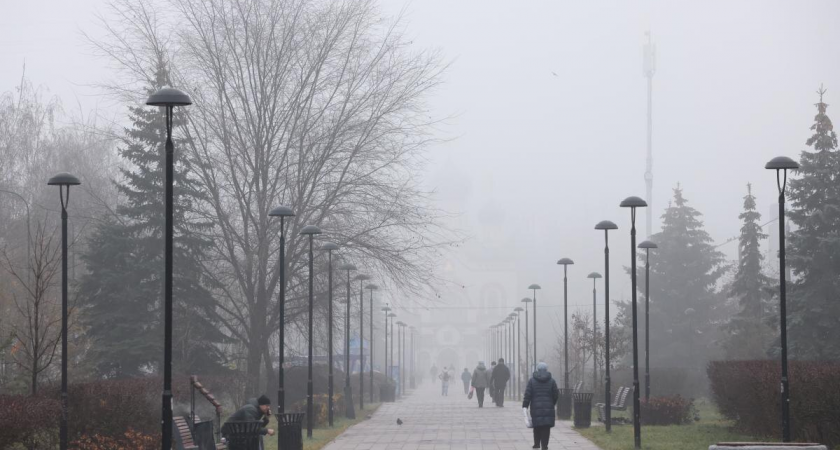 Декабрь на 5 градусов теплее нормы: грибной сезон продолжается, а зима задерживается