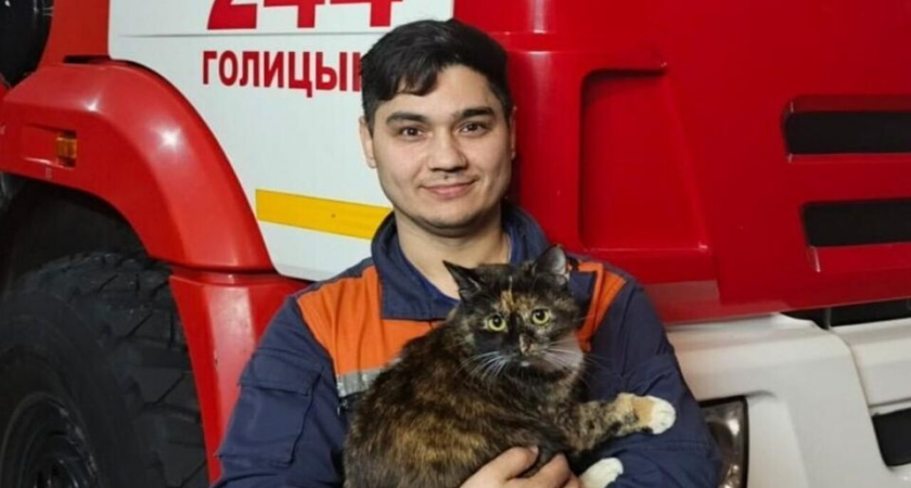 Кошка Муська родила котят в кабинете начальника: как спасенные животные стали талисманами пожарных