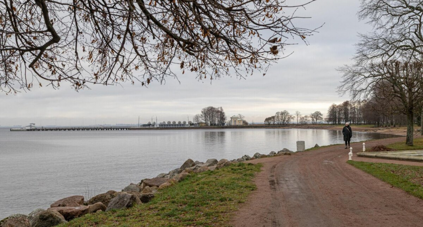 Колесов предупредил: в выходные Петербург ждут дождь и мокрый снег