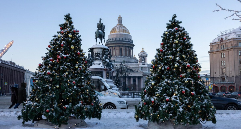 Декабрь будет теплым с короткими похолоданиями: синоптик назвал предел предсказуемости погоды в Петербурге