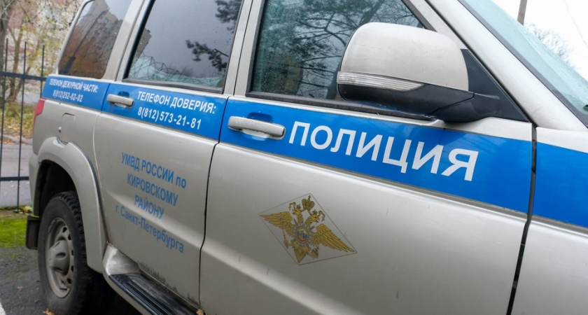 В Ленобласти нашли обломки уничтоженного БПЛА близ Кириши