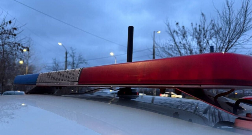 «Ушёл во взрослую жизнь»: 5-летний Вовка сбежал из дома с коробкой хлеба и игрушек