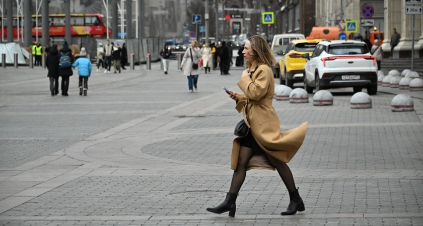 7 декабря в Ростовской области: мокрый снег, ветер до 18 м/с и минус на севере