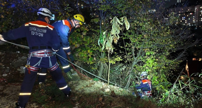 Супруги провалились в колючие заросли на склоне в Сочи: спасатели спускались с альпснаряжением