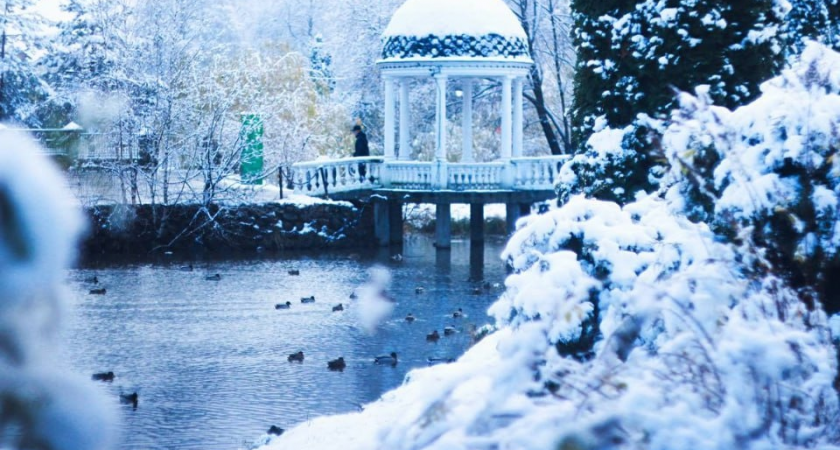 Снегопад накроет Подмосковье с 18:00: видимость упадет до 2 км, пик непогоды в 3 ночи