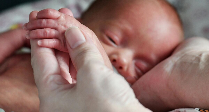 Дон, Горыня, История: москвичи назвали детей самыми необычными именами