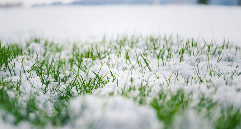 Москву ждет потепление до +2°С: когда придет теплый фронт